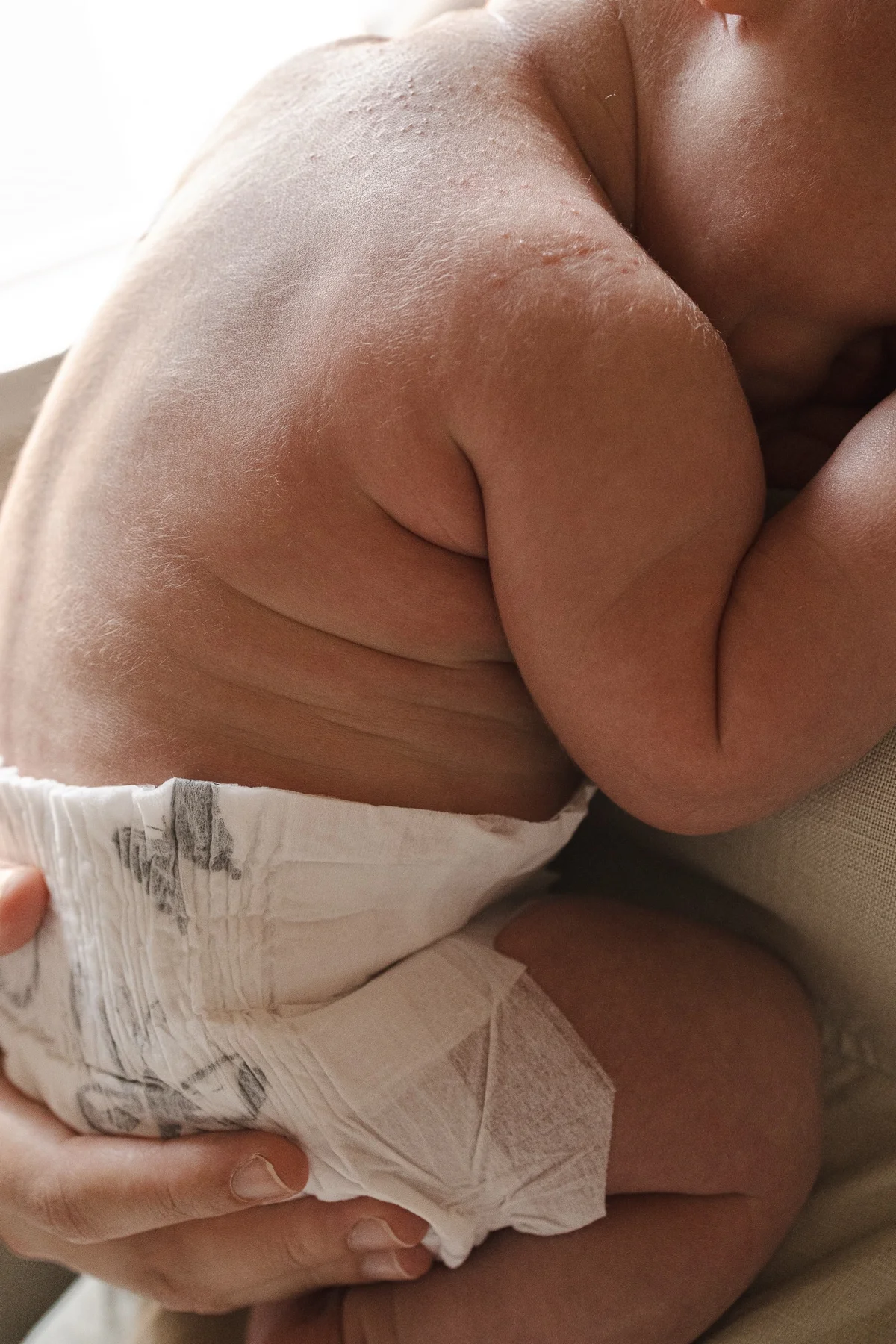 Close up of a newborn curled up in a parent's arms, in soft window light