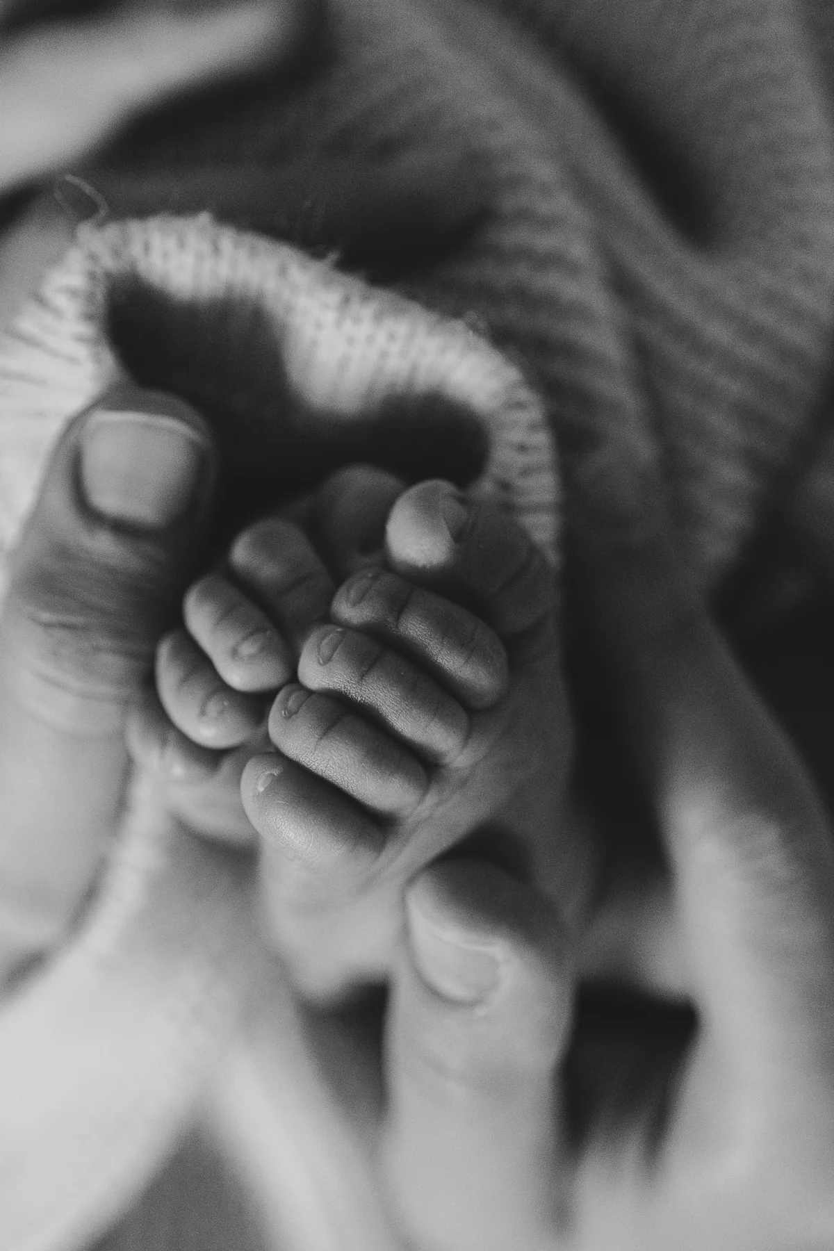 Black and white close up of a newborn's feet cradled in a parent's hands